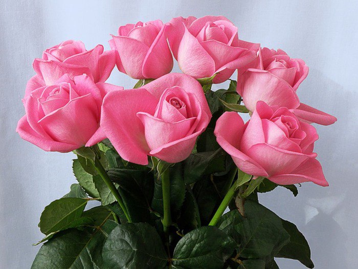 Людмилам 1 Акро