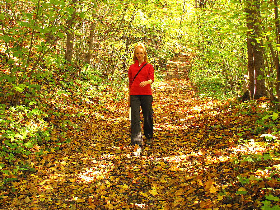 Уходит сентябрь по дорожке (Лариса Чех2) / Стихи.ру