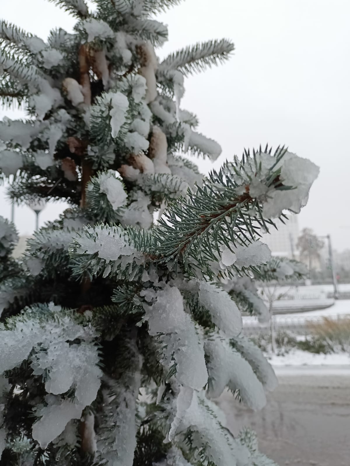 Октябрьский дождь