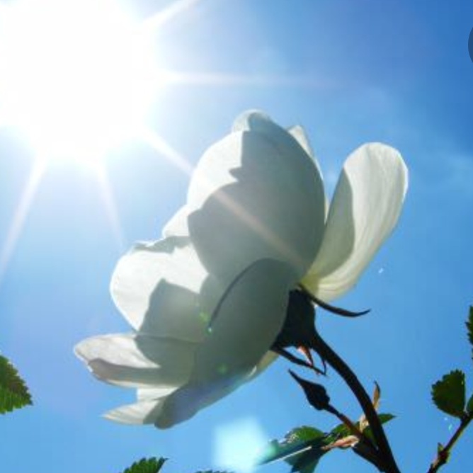 Только смелый (Наталия Буклова) / Стихи.ру