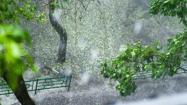 Ливень (Елена Давыдова 2) / Стихи.ру