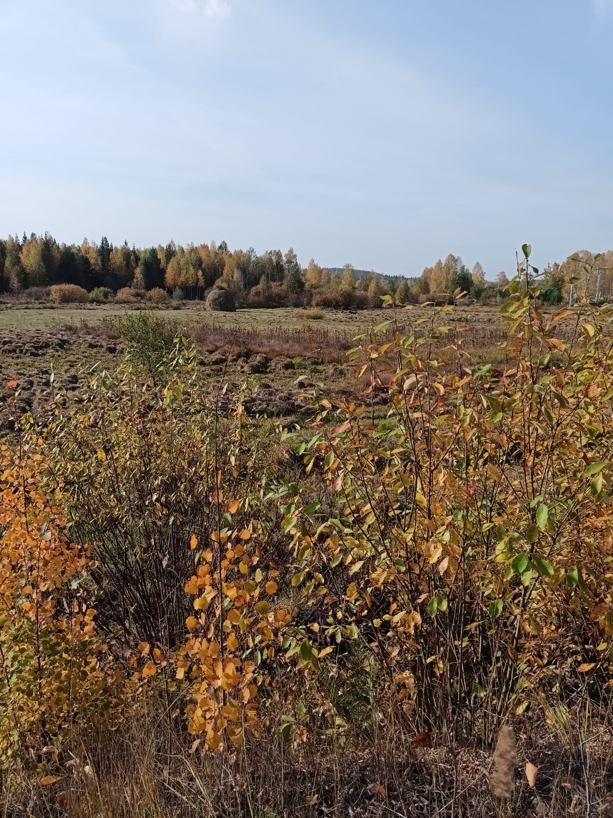 Скользит ночная тишина