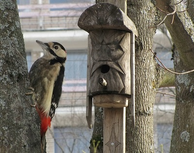 А если так,...