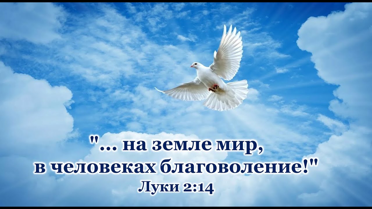Picture background