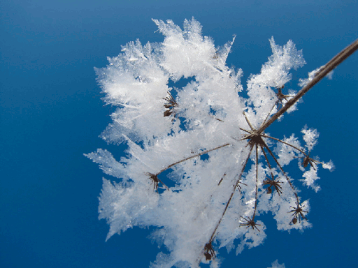 Сватовство, часть 3