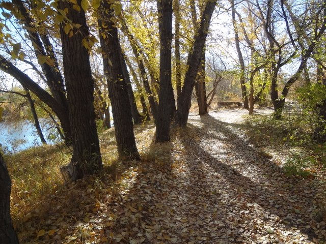 Осени божественный маршрут
