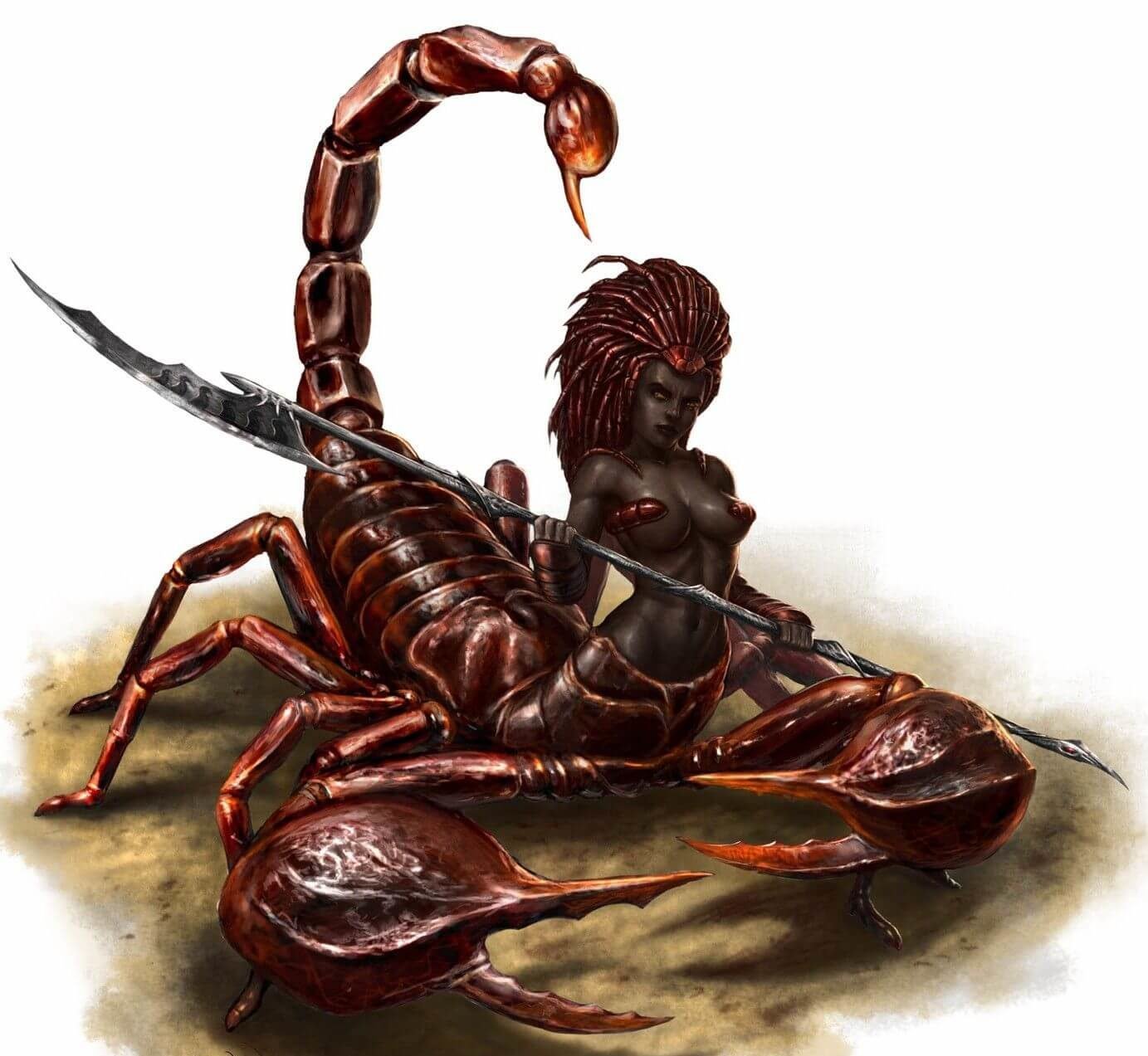 Собаке и Скорпиону