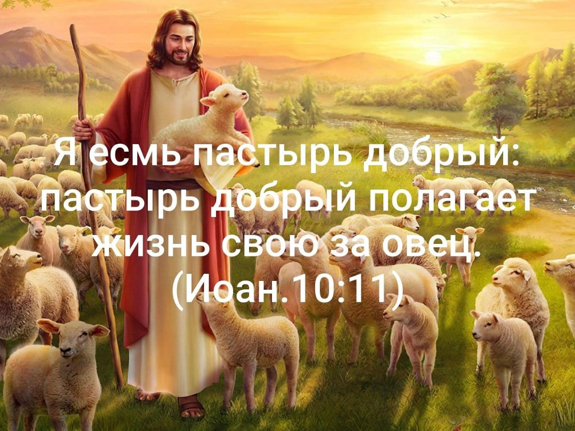 О добром пастыре. Я Пастырь добрый. Добрый Пастырь с овцами. Иисус и овцы. Пастырь Иисус и овцы.
