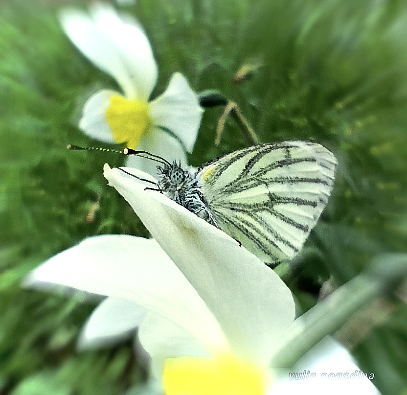 После ссоры