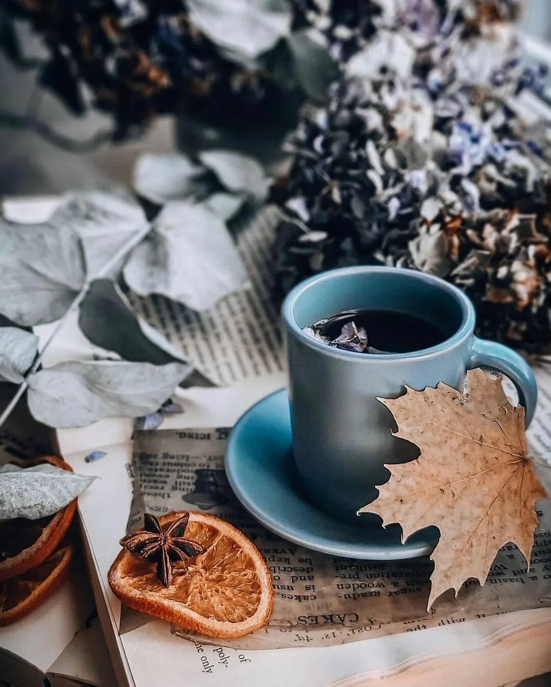 Норд-норд-ост