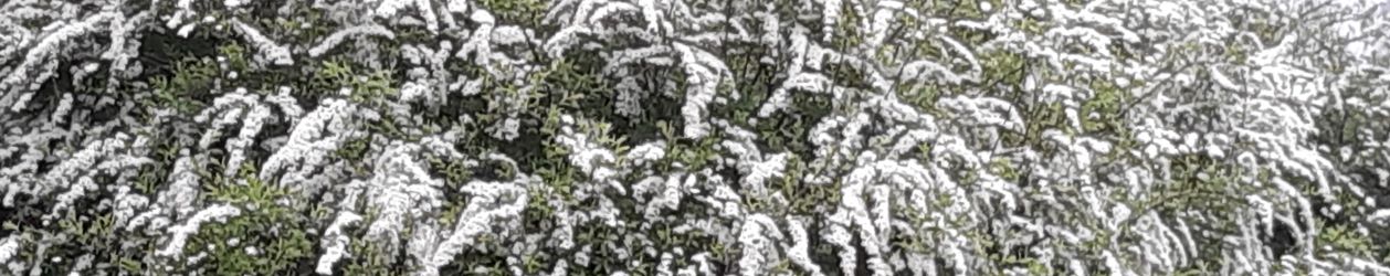 Я в синем небе облачным пером (Светлана Текутьева) / Стихи.ру