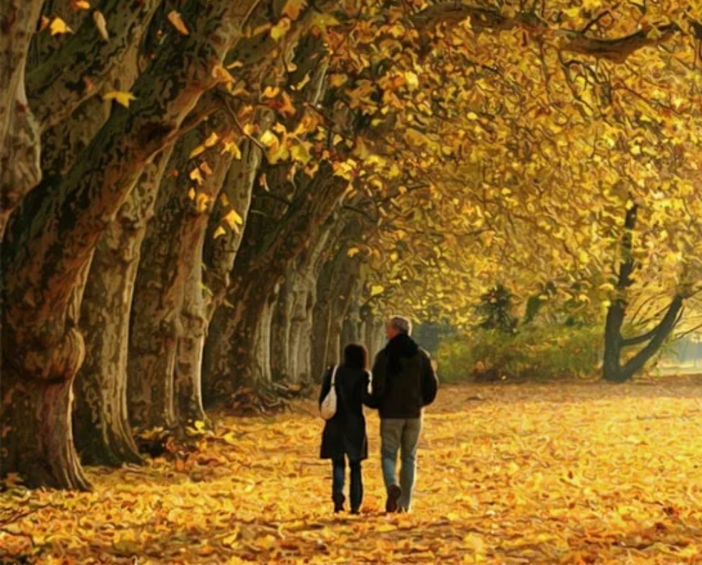 Я брел по осенней. Осенняя прогулка. Прогулка в осеннем парке. Осень в парке. Прогулка по осеннему лесу.