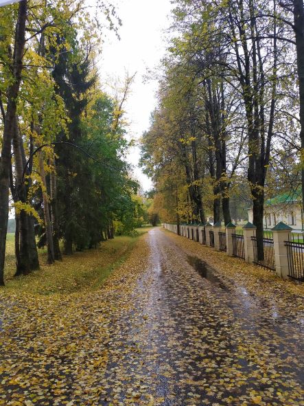 Осень- лесная царица