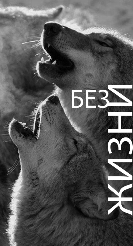 Без жизни