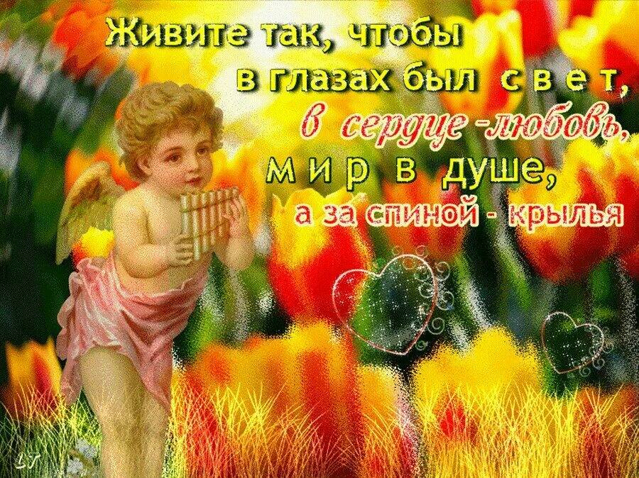 День души