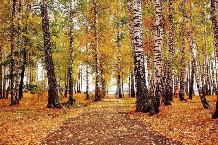 Привыкли, как будто, к пейзажам осенним?