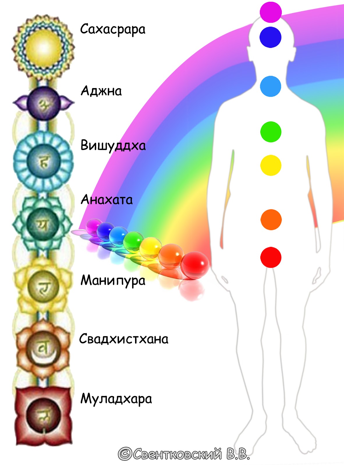 Чакры человека описание цвета расположение значение раскрытие