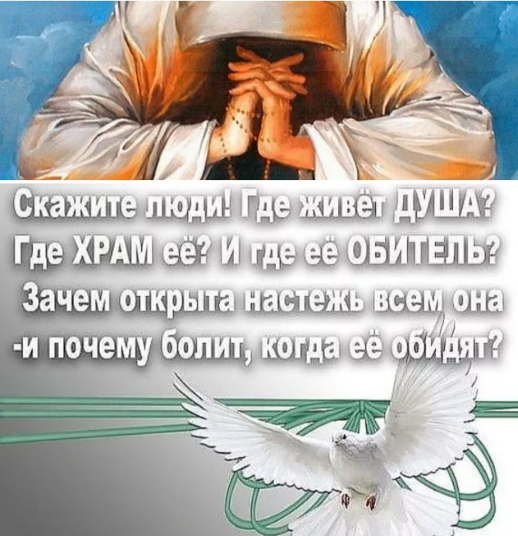 О нелёгкой жизни доброй Души