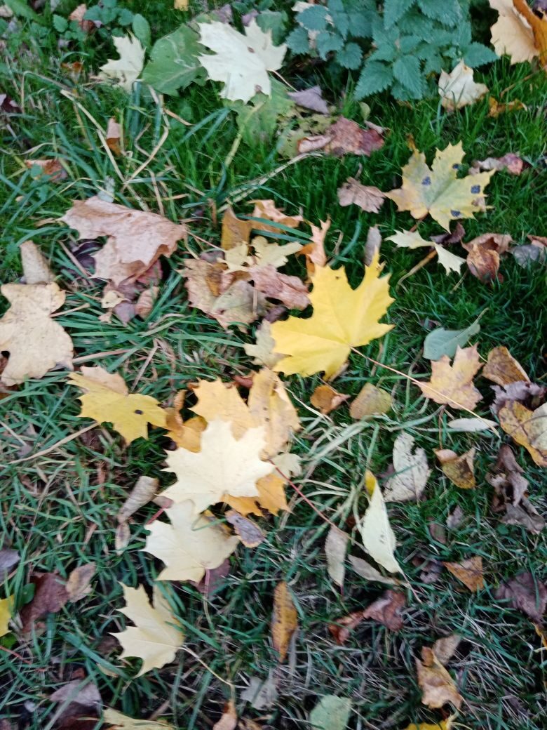 Ярмарка осени