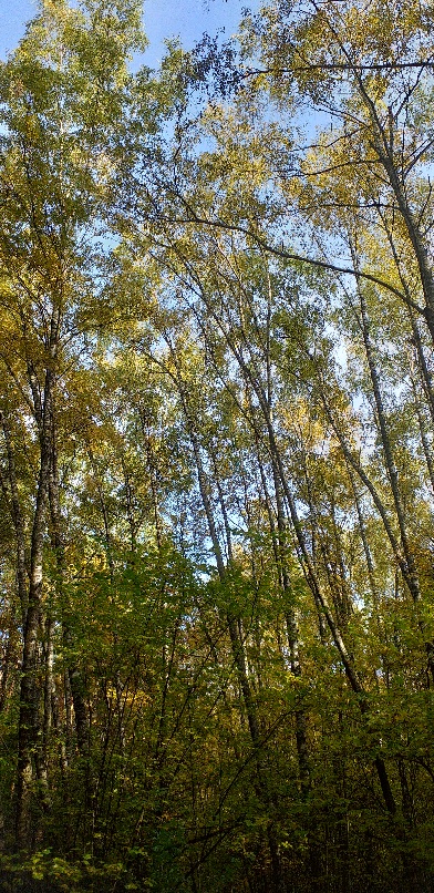 В тебе и мне