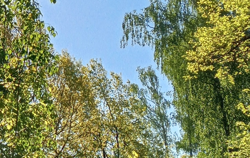 Паруса одиночества