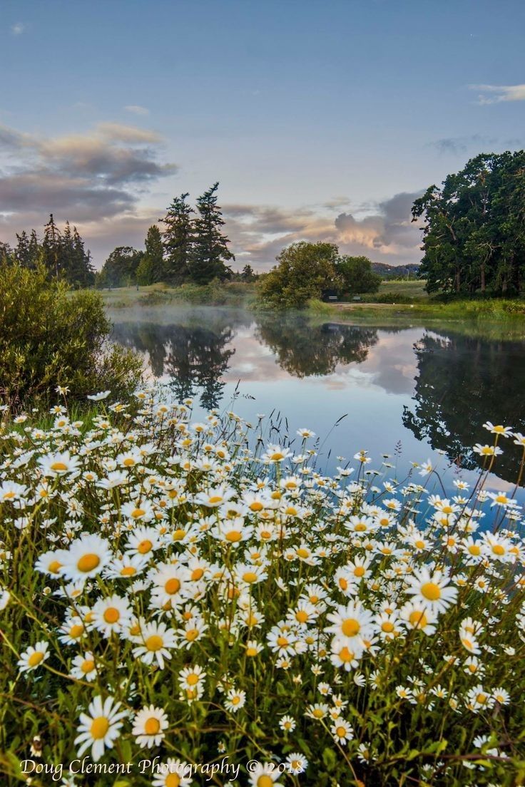 Тёплое лето радует душу
