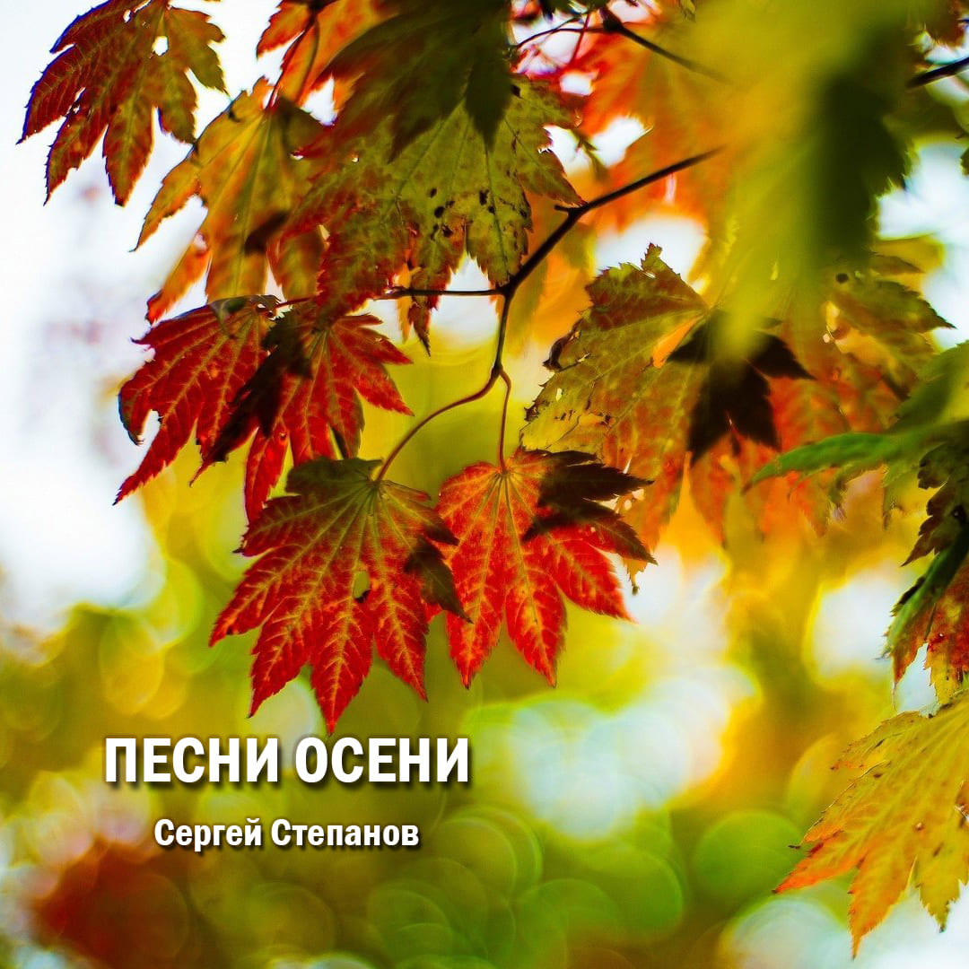 Поэт Сергей Степанов. Песни осени. Роман Глава 200