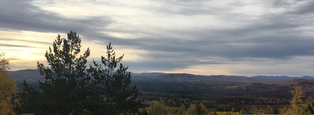 Зрелой осени печаль