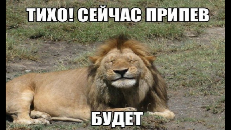 Тихо сейчас знаю. Тихо сейчас знаю. Тише тише мем. Тише сейчас припев будет мем. Тихо сейчас знаю.