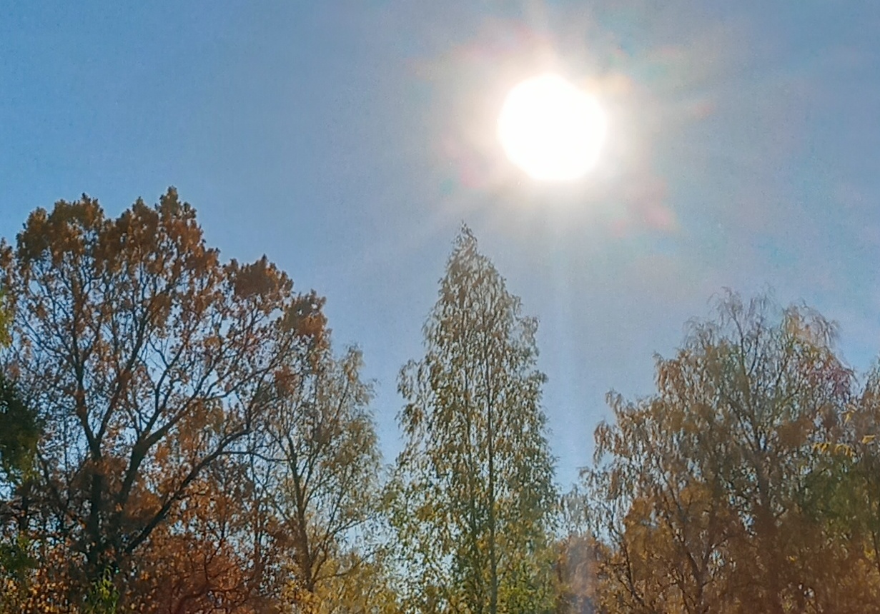 Заброшенные камни