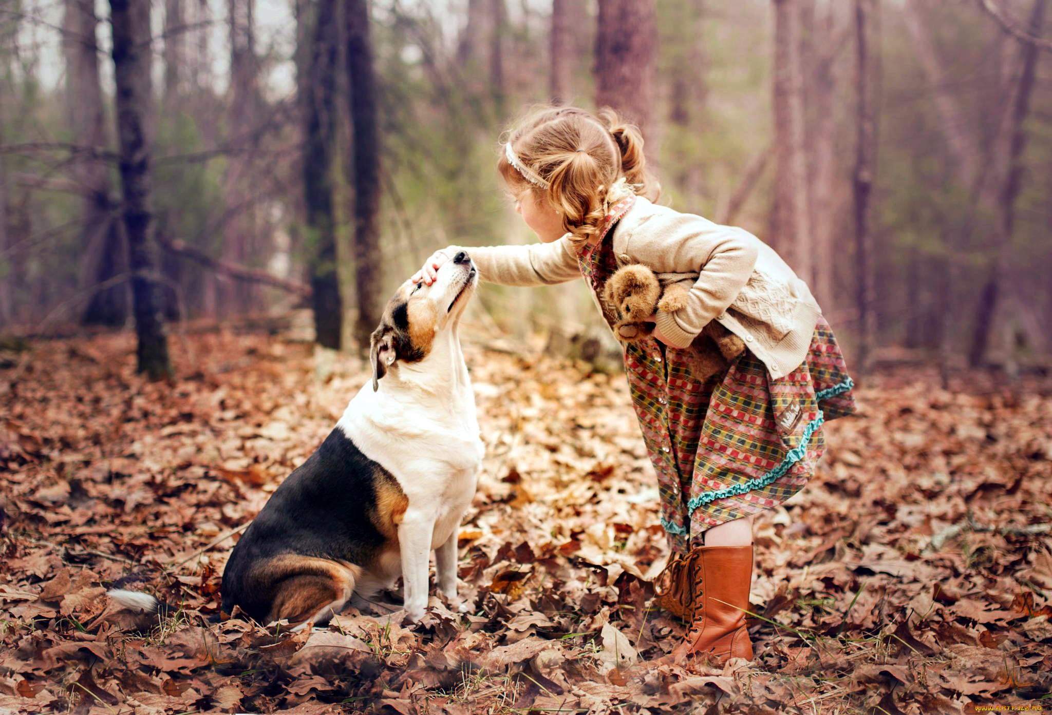 Картинка девушки с собакой. Девочка с собакой. Фотосессия с собакой. Собака на природе. Осенняя фотосессия с собакой.