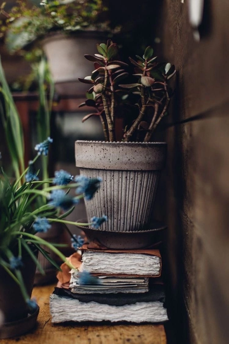 Октябрь и мысли