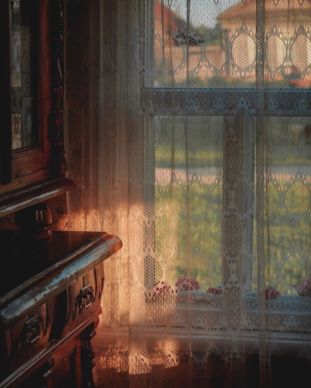 Домашнее одиночество