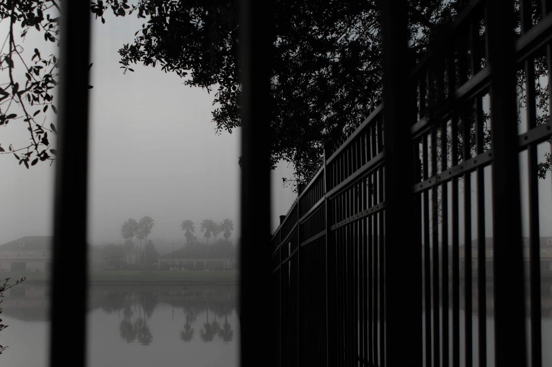 Сюжет перед погребением