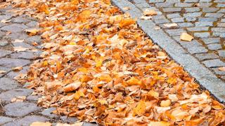 По сравнению