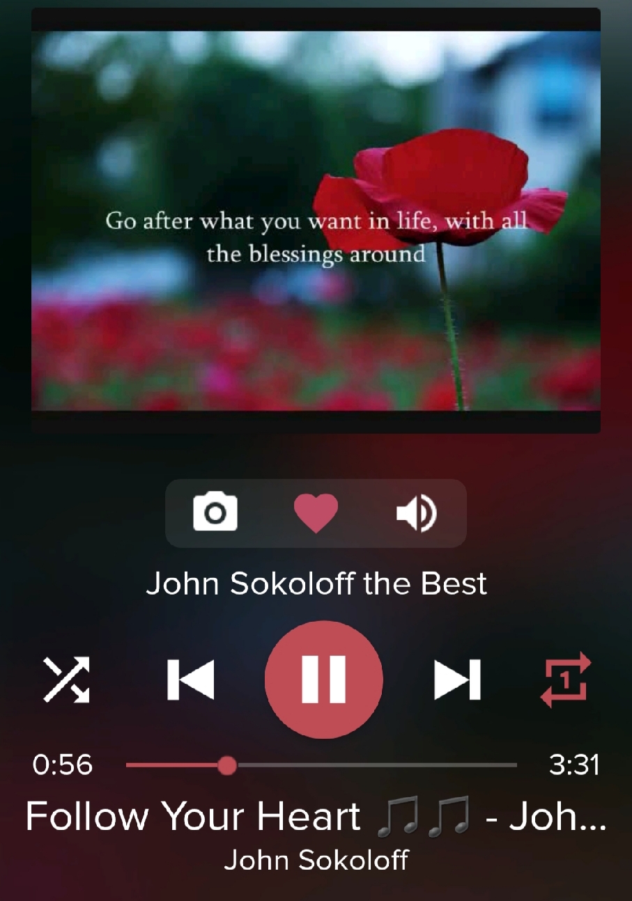 Follow Your Heart. John Sokoloff