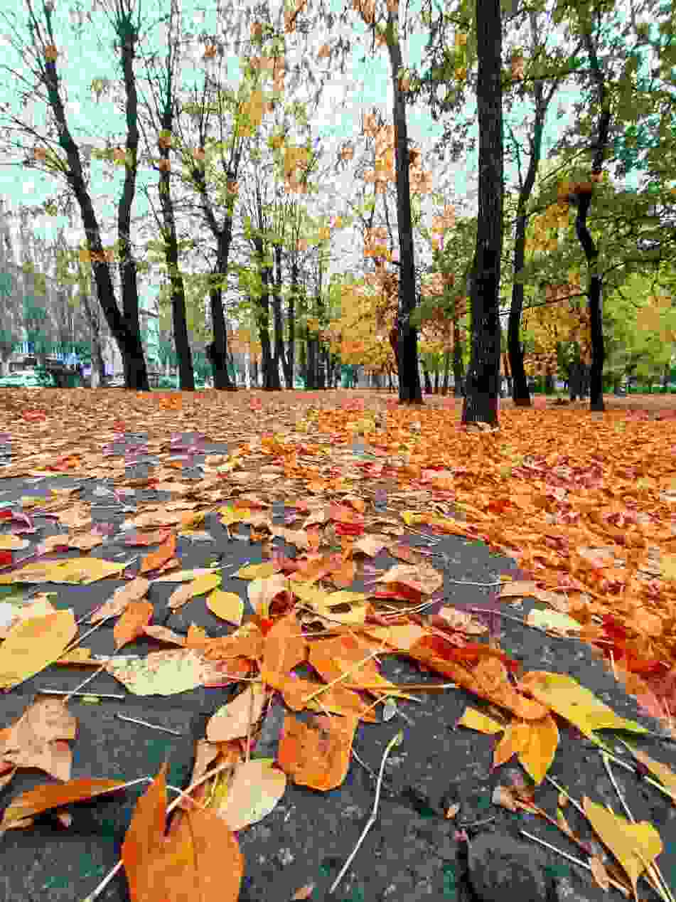 Где-то на юге