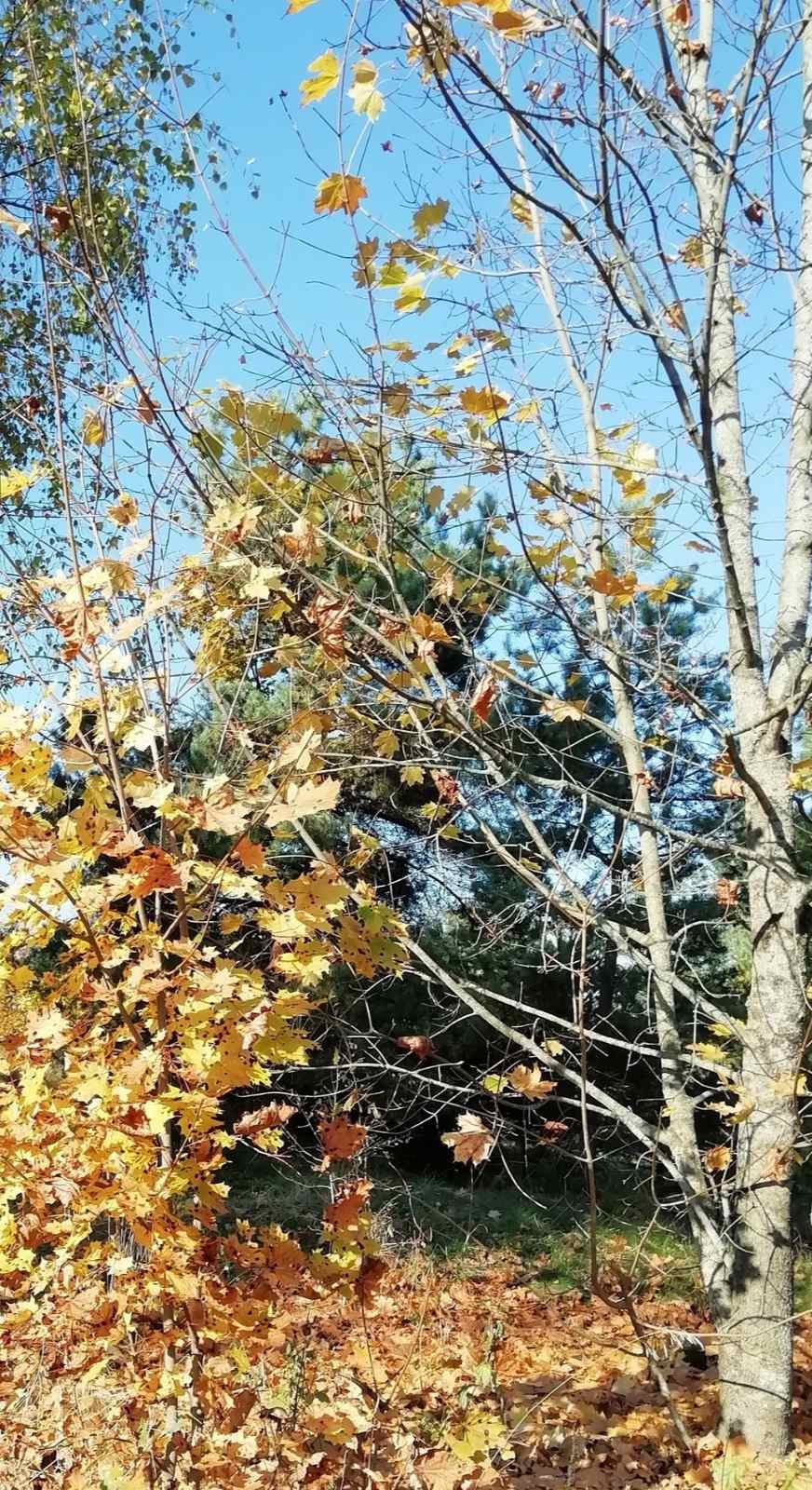 А нам бы не кануть в Лету...