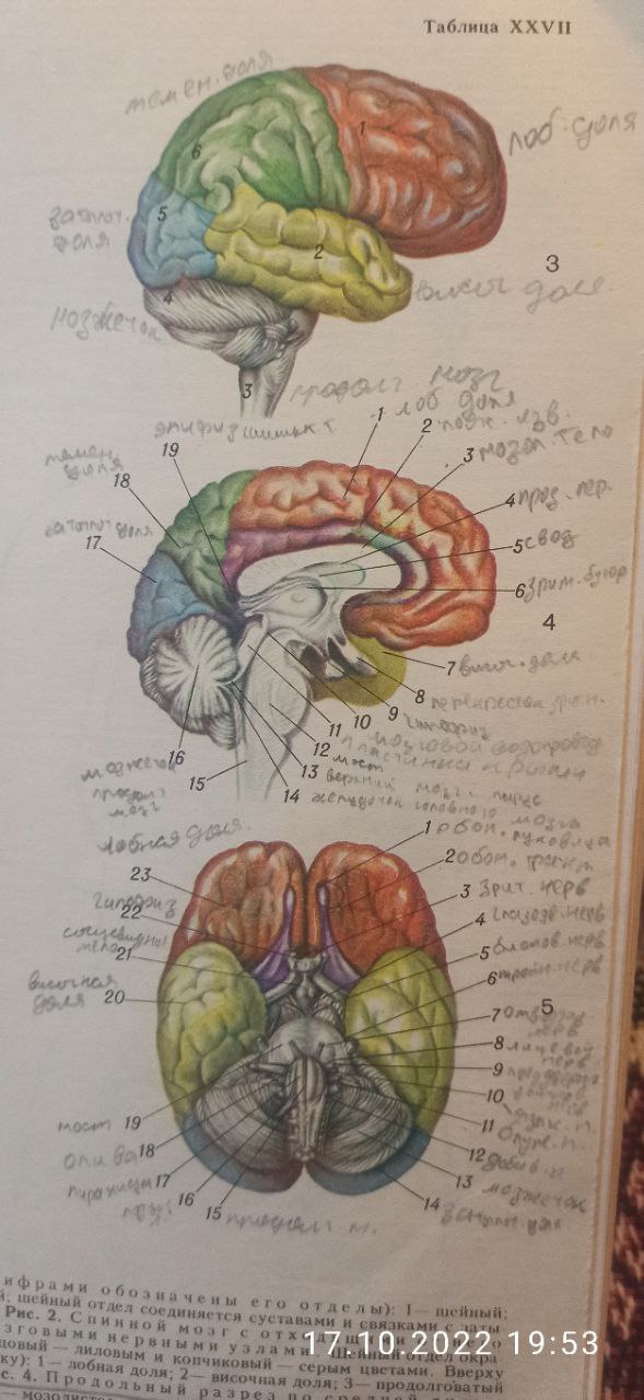 Никто не в состоянии