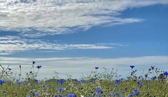 Всё в прошлом