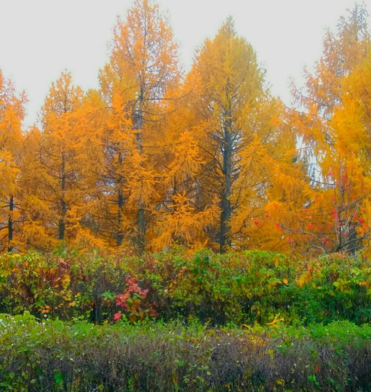 Она плотней захлопнет дверь...