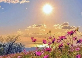 Я жду весну