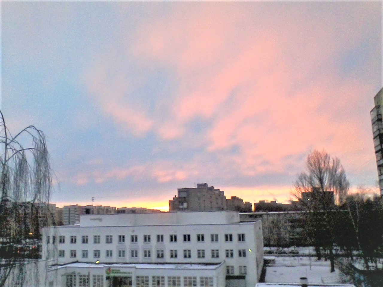 Как на ладони