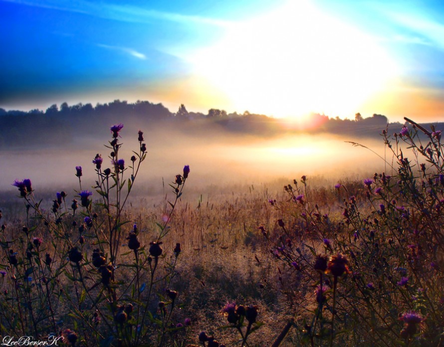 Завтра тяжелый день