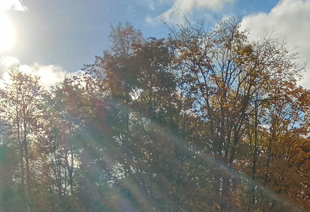 Распахнутое сердце