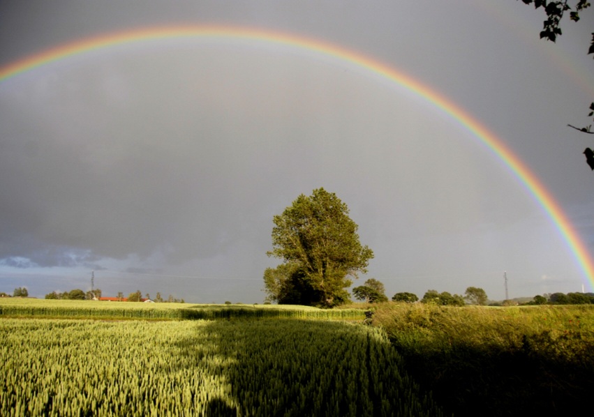 Мост к везению