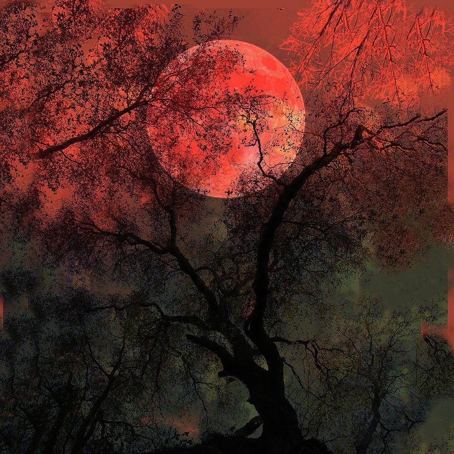 Кровавая ночь. Красная Луна. Кровавая Луна. Кроваво красная Луна