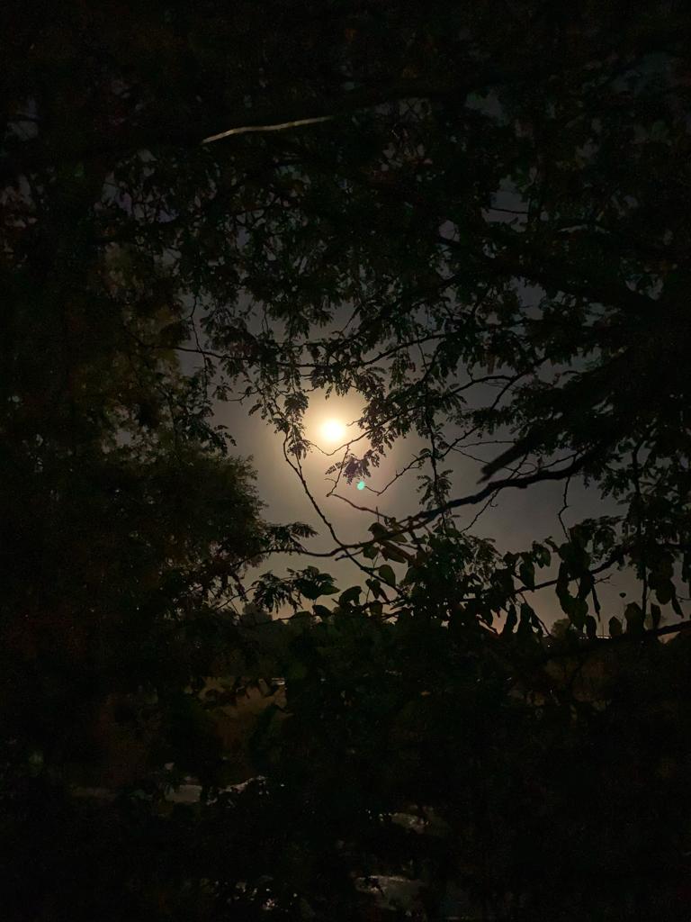 Сладкое вдохновение