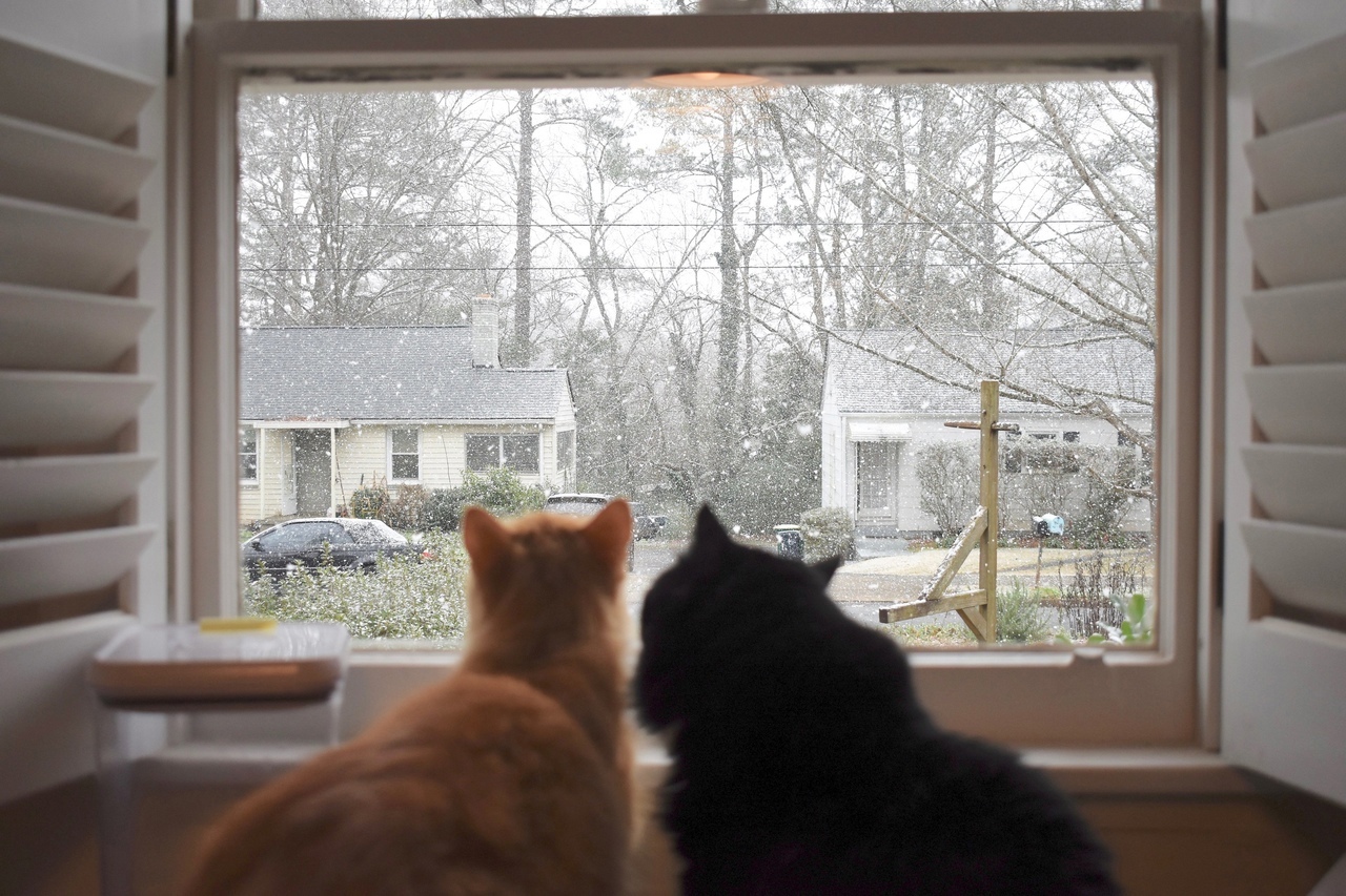 чтоб ты приехал