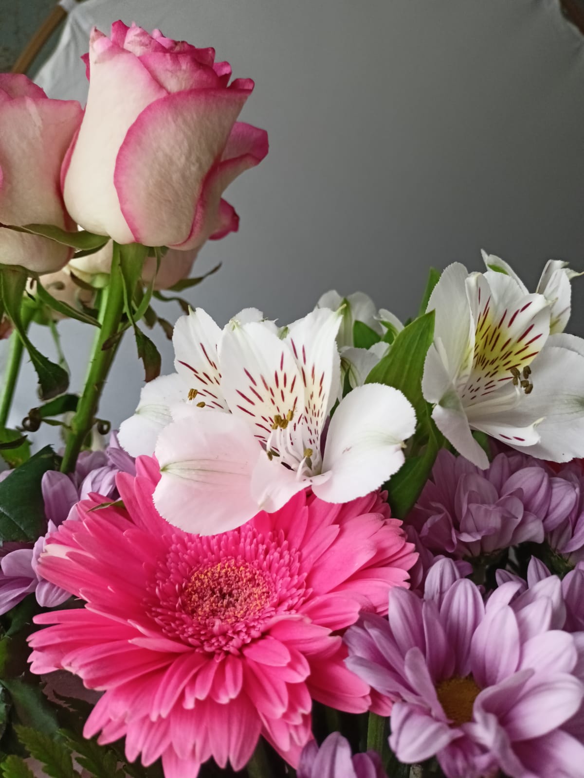 Коридор затмений